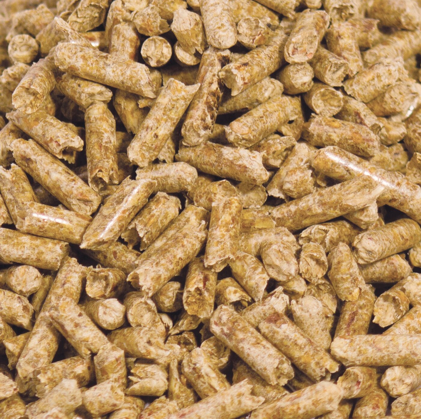 What is wood pellet 